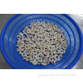 Frozen Raw Prawns Frozen Seafood Shrimp Of Vannamei Manufactory